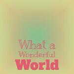 What a Wonderful World - Faisal A Rehman Song Download